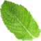 0e473237-322f-4bc0-8a94-ba049bc4258a.png