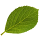 4017b2fd-b092-4cbb-bdbb-8660690dc870.png