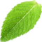 4e65e443-1b79-4856-9d91-6a10cb731154.png