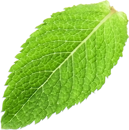 7dceb887-cfca-4099-b4bb-34f7710d4733.png