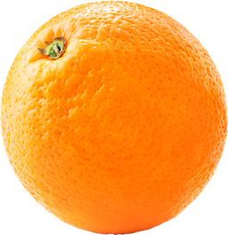 884e8c83-f15e-4af1-8ffb-edd385ecb10d.png