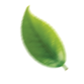 aaad5acf-5e38-48c0-a576-be4ca11eabda.png