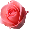b1e25ae8-a705-4214-aab1-1d66e3f4cd86.png