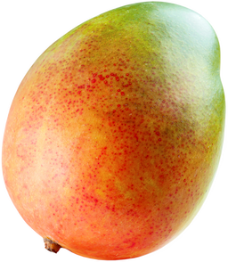 cb08cf89-f0e5-4f6d-88ec-d672f5744c17.png