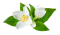 cb133a29-5f24-42fc-b673-e0a76612898f.png