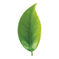 d639a98d-de52-4b90-b317-da4c757f5af2.png