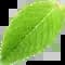 dc3d25a4-07c9-4551-a986-30f3e7dc8e7d.webp