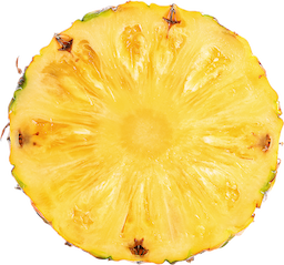 ed7d6c94-8772-4ac8-8ed3-1ac1ddc28ba0.png